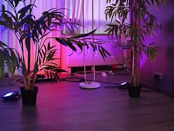 Stripchat Live Sex Cam of HotBustyBabeX