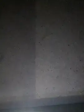 Stripchat Live Sex of Leocesar37