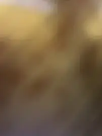 Stripchat Free Live Porn of SexyAninha18