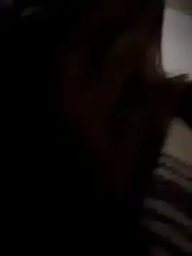 Stripchat Best Webcam of NikaMur