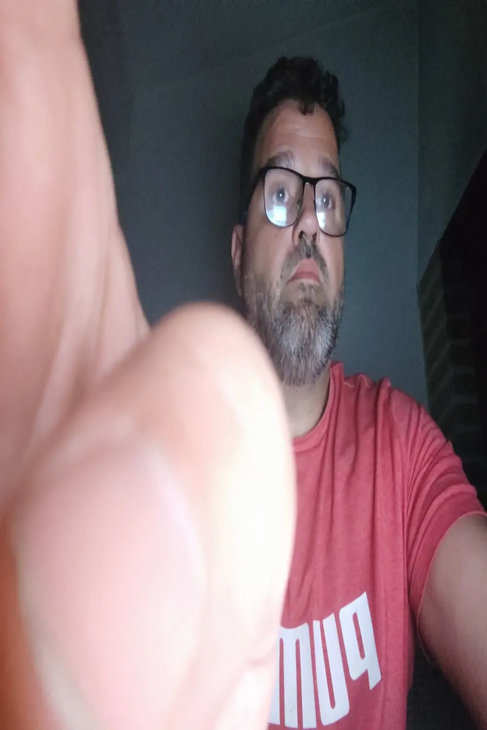 morenet_festero