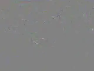 Xlovecam Nude Webcam of DivineMillion